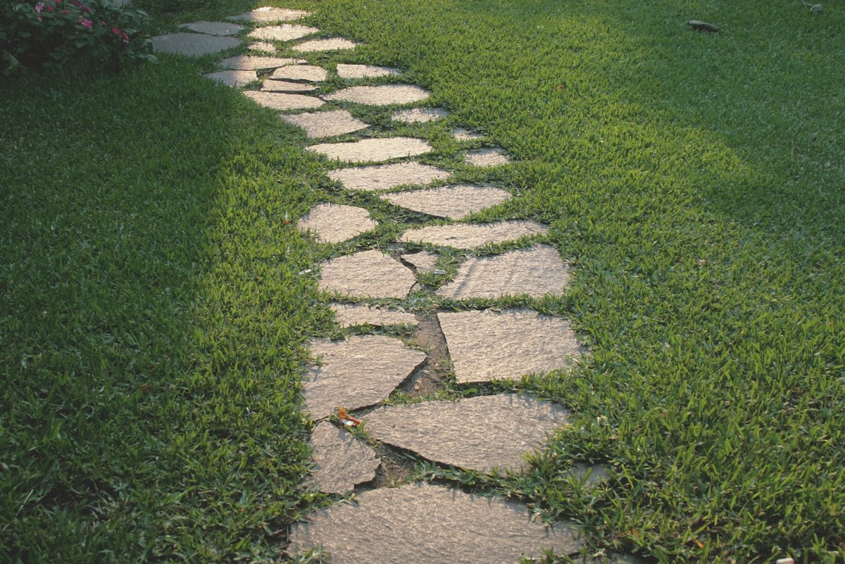 Crazy paving path with grass joints winding through a lawn in evening light